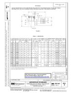 SAE AS21441B PDF
