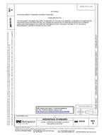 SAE AS339B PDF
