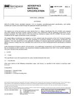 SAE AMSDTL22499A PDF