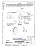 SAE AS3234A PDF