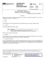 SAE AMS4161H PDF