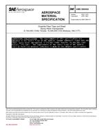SAE AMS3894/6A PDF