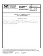 SAE AMSS18732B PDF