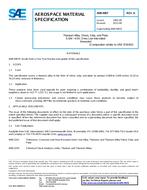 SAE AMS4907K PDF