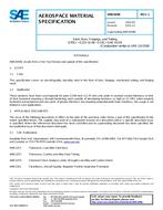 SAE AMS6448L PDF