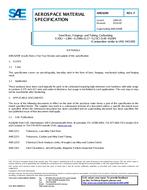 SAE AMS6299F PDF