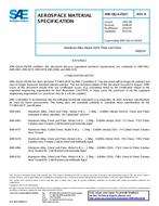 SAE AMSQQA250/5B PDF
