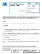 SAE AMS4981G PDF