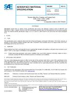 SAE AMS6905B PDF