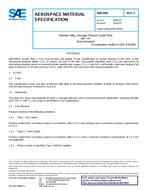 SAE AMS4905E PDF