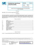 SAE AMS2980B PDF