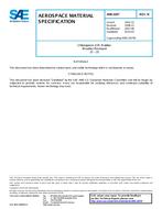 SAE AMS3207N PDF