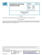 SAE AMS3209M PDF