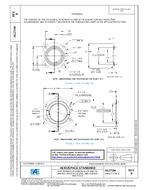 SAE AS27194B PDF