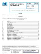 SAE AMS2980/5A PDF