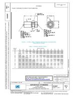 SAE AS6047B PDF