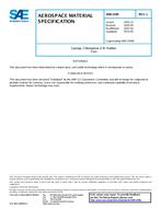 SAE AMS3199L PDF