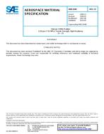 SAE AMS3348D PDF