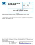 SAE AMS3349D PDF