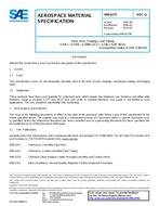 SAE AMS6270Q PDF