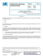 SAE AMS6382P PDF