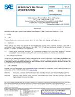 SAE AMS5955A PDF