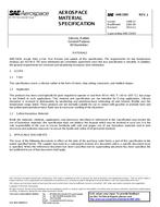 SAE AMS3305J PDF