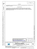 SAE AS17107B PDF