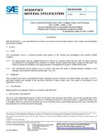 SAE AMS5629/H1000 PDF