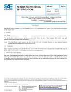 SAE AMS5667N PDF
