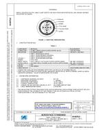 SAE AS6070/2 PDF