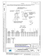 SAE AS3653A PDF