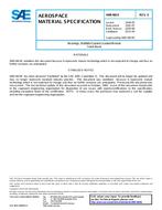 SAE AMS4824E PDF