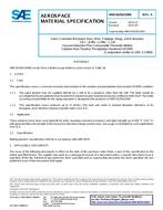 SAE AMS5629/H1000A PDF