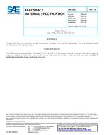 SAE AMS3823E PDF