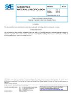SAE AMS3833B PDF