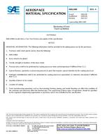 SAE AMS2489A PDF