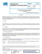 SAE AMS4924H PDF
