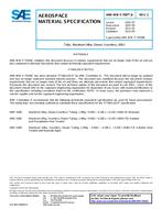 SAE AMSWWT700/6C PDF