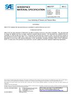SAE AMS2775C PDF