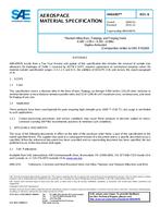 SAE AMS6907B PDF