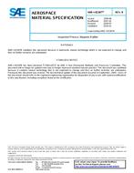 SAE AMSI83387B PDF