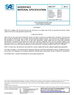 SAE AMS7713C PDF
