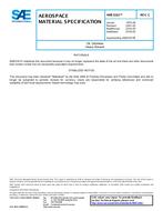 SAE AMS3161C PDF