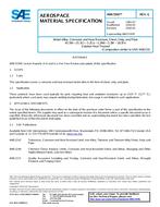 SAE AMS5593G PDF