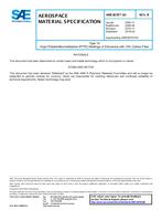 SAE AMS3678/10B PDF