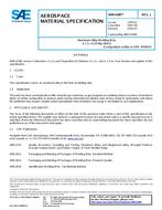 SAE AMS4189J PDF