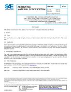 SAE AMS5842G PDF