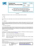 SAE AMS5843G PDF