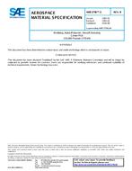 SAE AMS3796/3B PDF